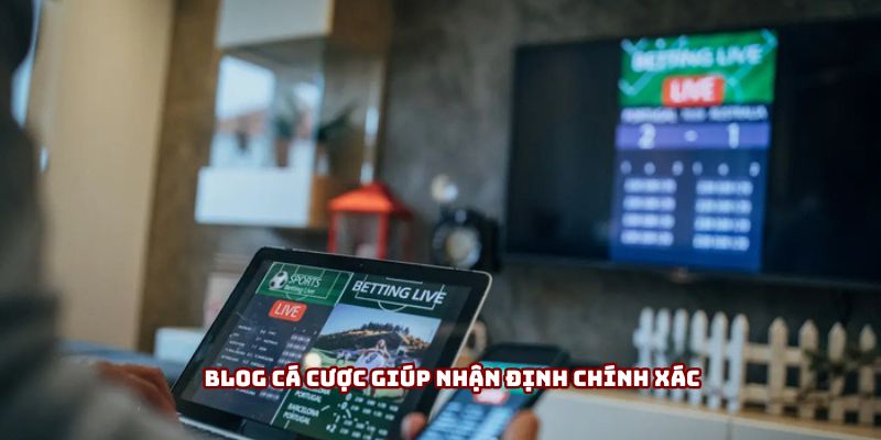 Blog cá cược giúp nhận định chính xác